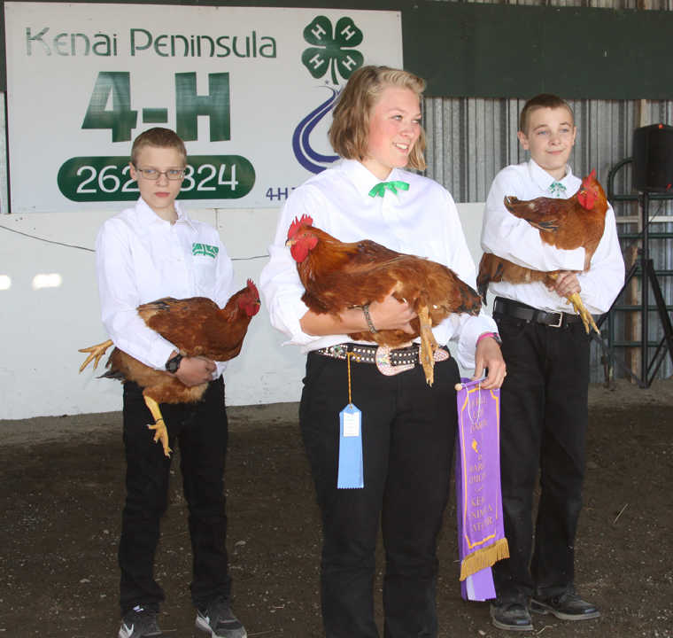 Livestock auction continues