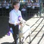 Livestock auction continues