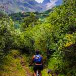 ADVANCE FOR WEEKEND OF AUG. 29-30, 2015. In this August 8, 2015 Christine Simko goes up a mellow section of trail on the way to Jumbo Mine near McCarthy, Alaska. Depending on who you ask, the 9-mile round trip from Kennecott Mill Town to Bonanza Mine is either "an easy one" or "unrelenting." Similar sentiments could be applied to the nearby Jumbo Mine trip, which is one mile longer and rises 3,400 feet. (Robin Wood/Fairbanks Daily News-Miner via AP)