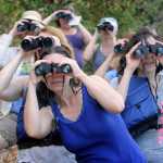 ADVANCE FOR WEEKEND EDITIONS, SEPT. 5-6 - In this photo taken Thursday, Aug. 27, 2015, Athena Lodge, center, a third and fourth grade teacher at Kings Valley Charter School, and fellow teachers learn how to use binoculars during a birding stop, part of an education program coordinated by the Institute of Applied Ecology,  along the Willamette River near Corvallis, Ore. (Andy Cripe/The Corvallis Gazette-Times via AP) MANDATORY CREDIT
