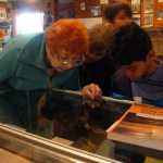 Photo by Megan Pacer/Peninsula Clarion Volunteer Carroll Knutson points out and describes several artifacts to students from Soldotna Elementary during their field trip on Thursday, Sept. 10, 2015 at the Soldotna Homestead Museum in Soldotna, Alaska.