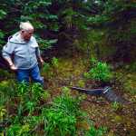 Photo by Rashah McChesney/Peninsula Clarion  Kalifornsky Beach Road resident Dan Sterchi on Friday Sept. 4, 2015  stands near a drainage pipe on a piece of land the borough is considering trading to a private property owner. Sterchi is adamantly opposed to the trade which he says could severely limit the borough's options for mitigating floods in the area.