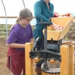 Photo by Megan Pacer/Peninsula Clarion Ember Nelson (left) churns apples into juice with the help of garden manager Michelle LaVigueur on Sunday, Sept. 20, 2015 during a tasting event at O'Brien Garden and Trees in Nikiski, Alaska. LaVigueur is the daughter of the orchard's owner and operator, Mike O'Brien.