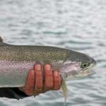 Tight Lines: Autumn fishing: So many options, so little time
