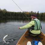 Tight Lines: Autumn fishing: So many options, so little time