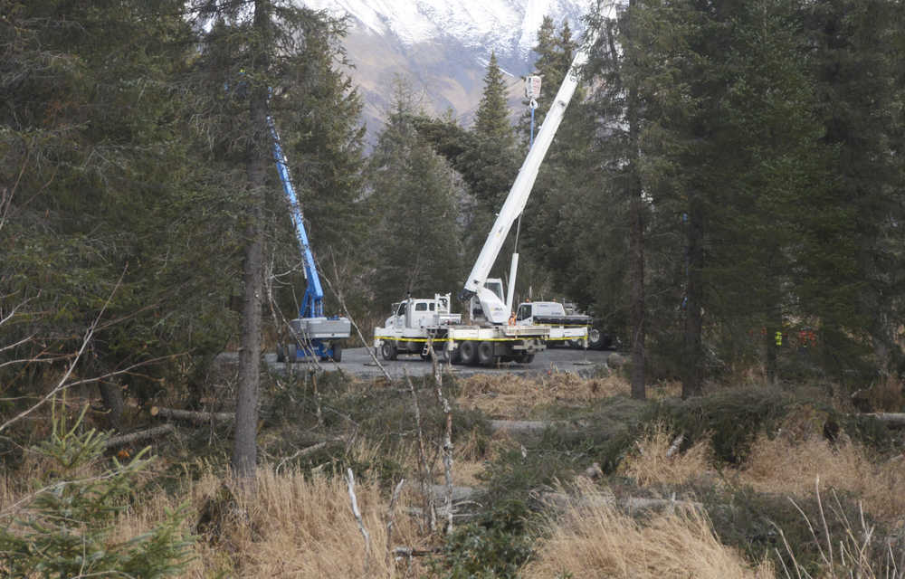 Photo by Megan Pacer/Peninsula Clarion A roughly 75-foot Lutz spruce is lowered after being cut down on Tuesday, Oct. 27, 2015 in the Chugach National Forest near Seward, Alaska. The tree was selected from six contenders as the 2015 U.S. Capitol Christmas Tree through a program run by the U.S. Forest Service.