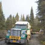 hoto by Megan Pacer/Peninsula Clarion A roughly 75-foot Lutz spruce was selected from six contenders as the 2015 Capitol Christmas Tree through a program run by the U.S. Forest Service. It was cut down Tuesday, Oct. 27, 2015 in the Chugach National Forest near Seward, Alaska.