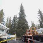 Photo by Megan Pacer/Peninsula Clarion A crew of U.S. Forest Service and Alaska Crane personnel listen to a safety briefing prior to the cutting down of the 2015 U.S. Capitol Christmas Tree on Tuesday, Oct. 27, 2015 in the Chugach National Forest near Seward, Alaska.