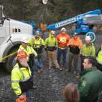 Photo by Megan Pacer/Peninsula Clarion A roughly 75-foot Lutz spruce, center, was selected from six contenders as the 2015 Capitol Christmas Tree through a program run by the U.S. Forest Service. It was cut down Tuesday, Oct. 27, 2015 in the Chugach National Forest near Seward, Alaska.