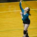 Photo by Rashah McChesney/Peninsula Clarion  Emily Hensley serves during Nikiski volleyball's game against Houston on Friday Nov. 6, 2015 in Nikiski, Alaska.