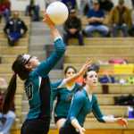 Photo by Rashah McChesney/Peninsula Clarion  Nikiski's Melanie Sexton spikes the ball during a game against Houston on Friday Nov. 6, 2015 in Nikiski, Alaska.