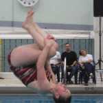 Photo by Joey Klecka/Peninsula Clarion Kenai's Mikaela Pitsch competes in diving at the state swimming and diving meet Saturday at Bartlett High School in Anchorage.