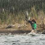 Photo courtesy Dwayne Parton Dwayne Parton is traveling the country with his dog Bobby (right) and is planning to stay the winter in Alaska.