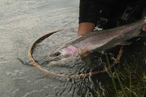 Photo courtesy Dave Atcheson Good fishing etiquette includes handling fish properly.