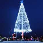 Ben Boettger/Peninsula Clarion Senator Peter Micciche and David Caswell (as Santa Claus) turned on an array of lights decked in a tree shape around a flagpole on Saturday, Dec. 5 in Soldotna Creek Park.