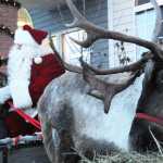 Ben Boettger/Peninsula Clarion Crash the reindeer nibbles on a hay bale while Tim Navarre (in red, with false beard) hands the reins of his sleigh to a visiting child outside Alaska First Insurance on Saturday, Dec. 5 in Soldotna.