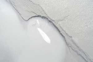 Photo courtesy Alaska Aerial Media Two endangered Cook Inlet beluga whales, as shown from an image captured by an unmanned aircraft system last August, stranded in the Turnagain Arm on the mudflats.