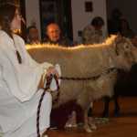 Heritage Place makes room for the baby from Bethlehem