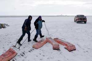 FILE - In this Oct. 7, 2014 file photo, men haul sections of whale skin and blubber, known as muktuk, as a bowhead whale is butchered in a field near Barrow, Alaska. The environment is changing and the Inuit, who consider themselves a part of it, want measures taken to protect their culture. (AP Photo/Gregory Bull, File)