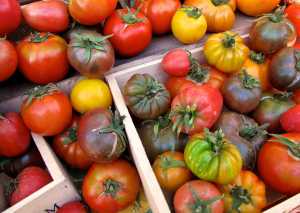 This Aug. 25, 2012 photo shows a varied assortment of heirlooms and hybrids tomatoes at the Bayview Farmers Market near Langley, Wash. More than 700 different tomato varieties have been brought to the market and each year sees still more new introductions. (Dean Fosdick via AP)