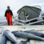 Photo by Rashah McChesney/Peninsula Clarion In this August 7, 2015 file photo, Parker Peck pulls a skiff out of the water while helping out at the Frostad family setnet sites on Salamatof beach in Kenai.  A ballot initiative to ban setnetting in certain areas of the state - one that would have diproportionally affected Cook Inlet setnetters - has been ruled as unconstitutional by the Alaska Supreme Court.