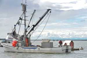 Photo by Rashah McChesney/Peninsula Clarion Two men prepare to moor the fishing vessel Machinator on the Kenai River near the Kenai City Docks on Tuesday June 30, 2015 in Kenai, Alaska.