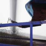 Photo by Kelly Sullivan/ Peninsula Clarion Worms must be about 20-weeks-old before they won't fall through the metal mesh of the  Wednesday, Dec. 30, 2015, at Circle M Worm Farm of Alaska in Nikiski, Alaska.