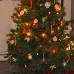 VFW warms the season