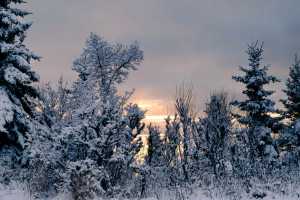 Ben Boettger/Peninsula Clarion The sun sets behind Cook Inet, as seen from the blufftop overlook of Kenai's South Forest Street on Wednesday, January 14 in Kenai. Forecasters are calling for some snow today, and intermittent sunshine on Monday.