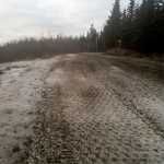 Photo by Jeff Helminiak/Peninsula Clarion The Tsalteshi Trails had no snow cover Jan. 11. That meant one of the few things Bill Holt, trails maintenance manager, could do was grind up frost heaves, like these on Eagle Perch.