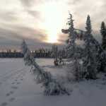 Photo by Jeff Helminiak/Peninsula Clarion The recent snowfall, plus the work of Bill Holt, maintenance manager for Tsalteshi Trails, had Headquarters Lake spruced up for skiing by Jan. 15.