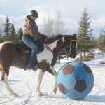 Photo by Megan Pacer/Peninsula Clarion Connie Green and her horse, Freestyle, play with a large soccer ball during an afternoon of fun and horse games on Monday, Feb. 8, 2016 at Alaska C&C Horse Adventures in Soldotna, Alaska.