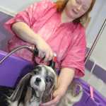 VIP's love Tamara Grooming