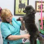 VIP's love Tamara Grooming