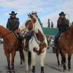 St. Pat's parade sets record crowd