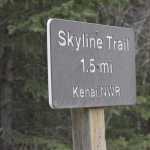 Photo by Joey Klecka/Peninsula Clarion The sign denoting the start of the rugged Skyline trail stands just a few feet off the edge of the Sterling Highway.