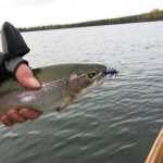 Lake fishing picks up just after the ice goes out.