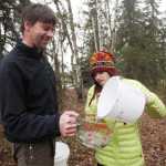 Photo by Kelly Sullivan/ Peninsula Clarion Marcus Mueller and his daughter Amelia go through their evening routine of gathering the sap drained from ten Kenai birch trees on their property Tuesday, April 19, 2016, in Kenai, Alaska.