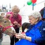 Photo by Megan Pacer/Peninsula Clarion Hazel George feeds a miniature horse while her daughter, Roberta Tuning, and son-in-law, Jim Tuning, look on during a birthday party Sunday, April 24, 2016 at Heritage Place in Soldotna, Alaska. George joined the other centenarians in the state when she turned 100 Sunday.