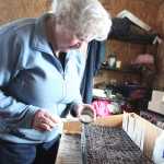 By Kelly Sullivan/ Peninsula Clarion Louise Heite plants bok choy seeds for starters on Tuesday, March 15, at her home on Eagle Glade Farm in Nikiski, Alaska.