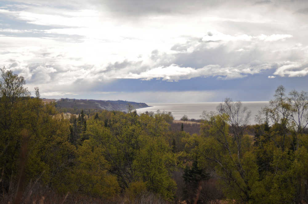 Photo by Elizabeth Earl/Peninsula Clarion From the back porch of Dana York's house just south of Clam Gulch, she can see the site of a proposed gravel pit operation near the bluff. Although she is not happy about the change in her view, she said she is more concerned about the possibility of erosion.