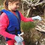 Photo by Megan Pacer/Peninsula Clarion Alexis Martinez, a fourth grader from Soldotna Elementary, picks fishing line out of brush on the bank of the Kenai River during this year's Kenai River Spring Cleanup event on Friday, May 6, 2016 at Soldotna Creek Park in Soldotna, Alaska. More than 600 kids combed the riverbanks in several locations on the central Kenai Peninsula, competing for prizes and learning about good stewardship.