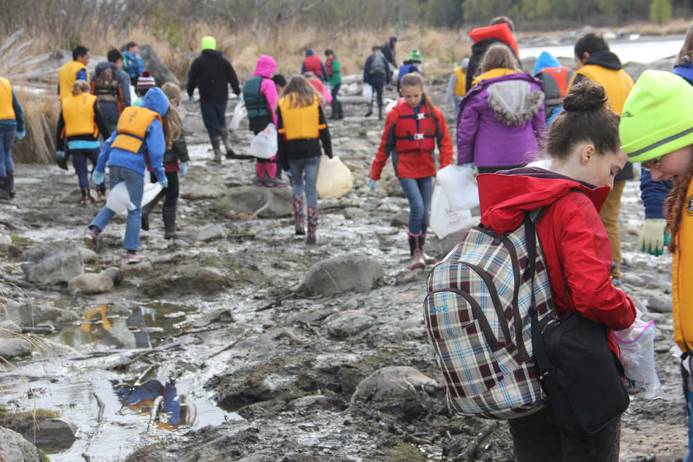 Redoubt students walk the banks of the Kenai River picking up large and small trash.