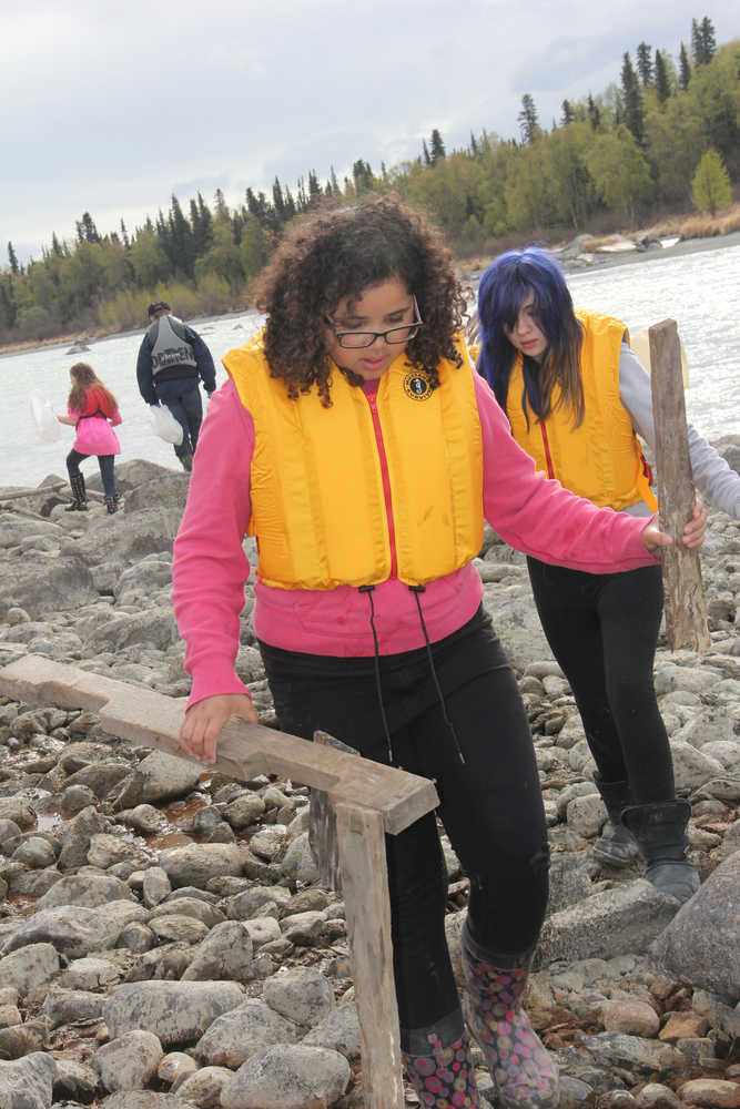 Redoubt students walk the banks of the Kenai River picking up large and small trash.