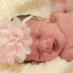 Holly Lindley Nikolas