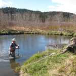 Photo by John Messick/For the Clarion Researchers Ben Meyer (left) and Erik Schoen (right) install a temperature logger on Upper Russian Creek, near Cooper Landing the weekend of May 6-8, 2016.