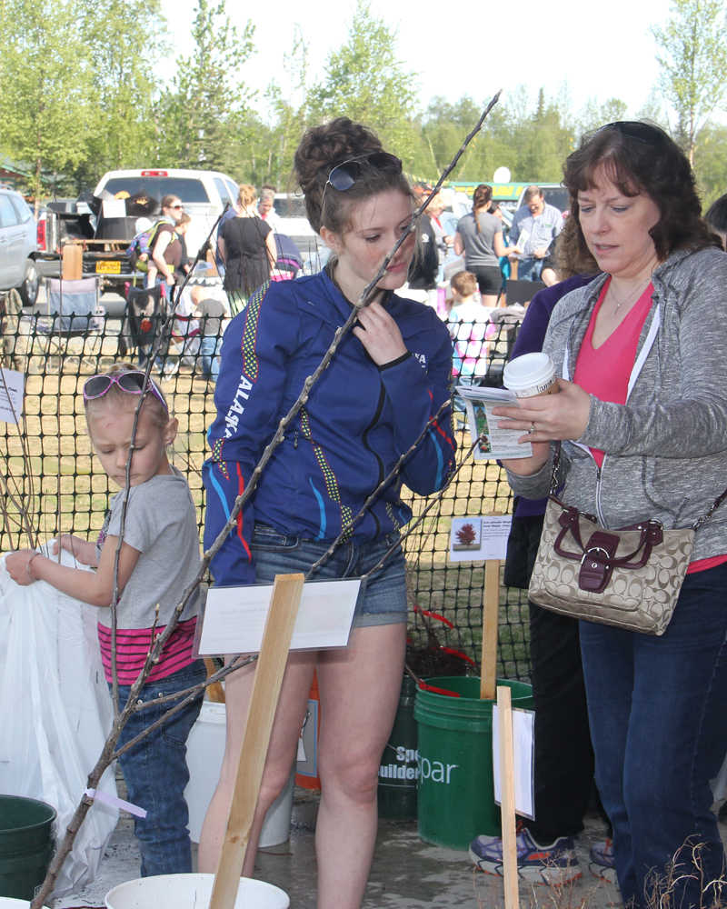 4-H tree sale sells out