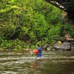 Photo by Elizabeth Earl/Peninsula Clarion Fishermen lined up along the Anchor River near Anchor Point, Alaska, during its first opening day on Saturday, May 21, 2016. The Anchor River is one of the first freshwater rivers in Southcentral Alaska where sportfishermen can go to catch a king salmon.