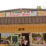 Photo by Elizabeth Earl/Peninsula Clarion The exterior of the Ye Olde Curiosity Shoppe on Monday, May 30, 2016 in Kenai, Alaska. The shop recently moved from its old location near the Peninsula Job Center to a new building on the Kenai Spur Highway across from Salvation Army.