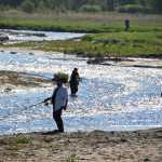 Kings run to Ninilchik River, Deep Creek
